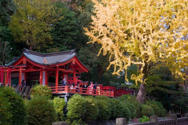 A shrine with a yellow gingko tree.