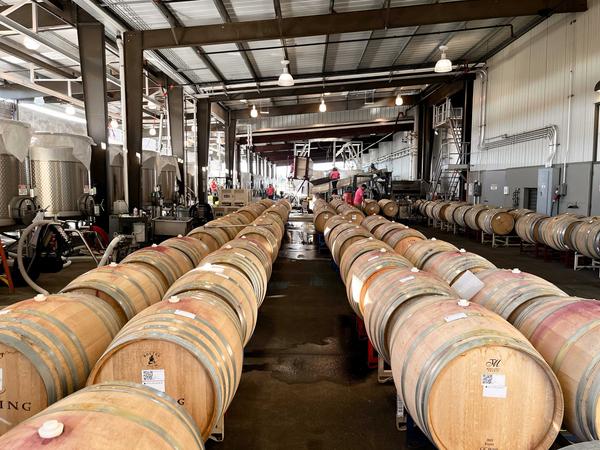 Rows of wine-barrels at a winery in Sonoma.